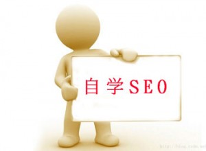 自学SEO