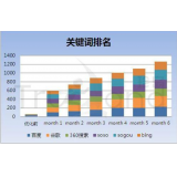 峄城如何防止SEO关键词排名下降